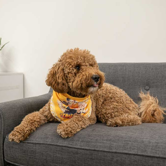 Love 4 a Walk - Dog Bandana WEBTOON ENTERTAINMENT