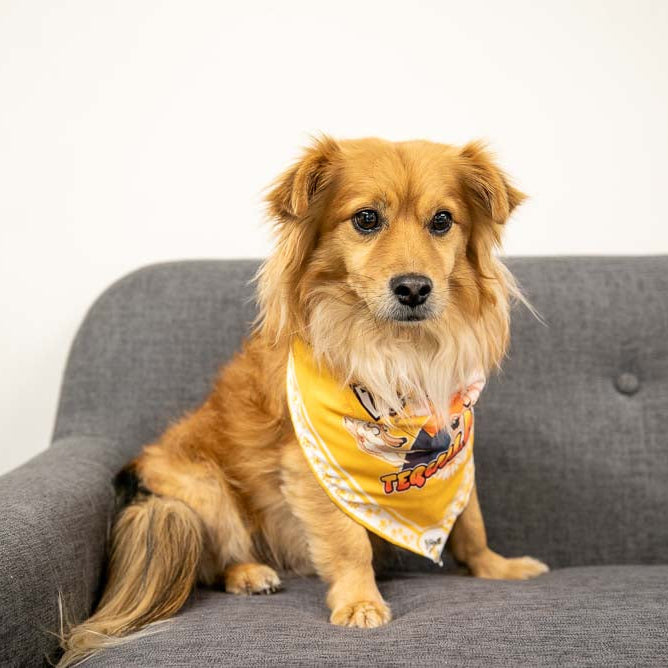 Love 4 a Walk - Dog Bandana WEBTOON ENTERTAINMENT